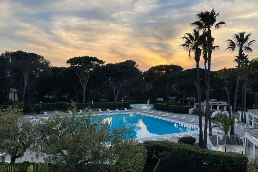 Bel Appartement Vue Sur Piscine 1 Chambre Fermee Et 1 Espace Cabine Saint-Raphaël Zewnętrze zdjęcie