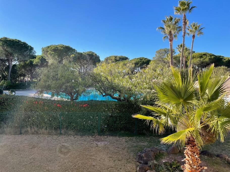 Bel Appartement Vue Sur Piscine 1 Chambre Fermee Et 1 Espace Cabine Saint-Raphaël Zewnętrze zdjęcie